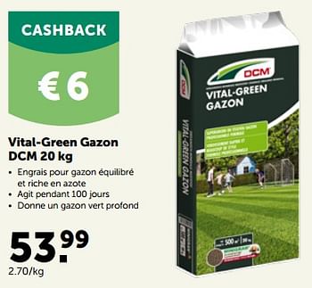 Promoties Vital-green gazon dcm - DCM - Geldig van 27/03/2023 tot 08/04/2023 bij Aveve