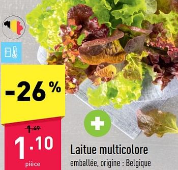 Promotions Laitue multicolore - Produit maison - Aldi - Valide de 27/03/2023 à 07/04/2023 chez Aldi