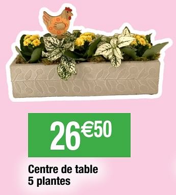 Promotions Centre de table 5 plantes - Produit Maison - Migros - Valide de 28/03/2023 à 10/04/2023 chez Migros