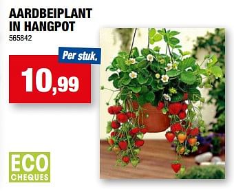 Promotions Aardbeiplant in hangpot - Produit maison - Hubo  - Valide de 05/04/2023 à 16/04/2023 chez Hubo