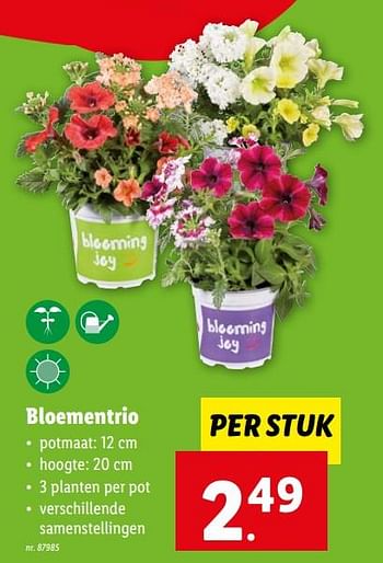 Promoties Bloementrio - Huismerk - Lidl - Geldig van 12/04/2023 tot 18/04/2023 bij Lidl
