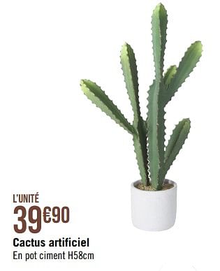 Promotions Cactus artificiel - Produit Maison - Géant Casino - Valide de 10/04/2023 à 07/05/2023 chez Géant Casino