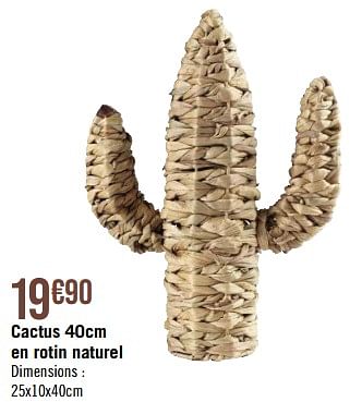 Promotions Cactus en rotin naturel - Produit Maison - Géant Casino - Valide de 10/04/2023 à 07/05/2023 chez Géant Casino