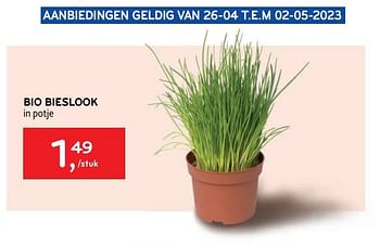 Promotions Bio bieslook - Produit maison - Alvo - Valide de 26/04/2023 à 02/05/2023 chez Alvo
