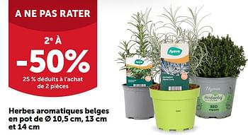 Promotions Herbes aromatiques belges en pot 2e à -50% 25 % déduits à l’achat de 2 pièces - Produit maison - Aveve - Valide de 12/04/2023 à 23/04/2023 chez Aveve
