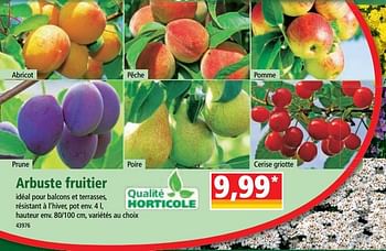 Promotions Arbuste fruitier - Produit Maison - Norma - Valide de 12/04/2023 à 18/04/2023 chez Norma
