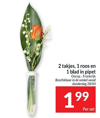 Promoties 2 takjes 1 roos en 1 blad in pipet - Huismerk - Intermarche - Geldig van 25/04/2023 tot 01/05/2023 bij Intermarche