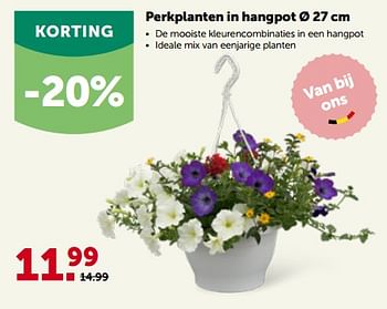 Promotions Perkplanten in hangpot - Produit maison - Aveve - Valide de 24/04/2023 à 07/05/2023 chez Aveve