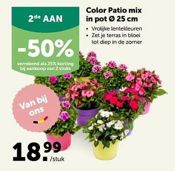 Promoties Color patio mix in pot - Huismerk - Aveve - Geldig van 24/04/2023 tot 07/05/2023 bij Aveve