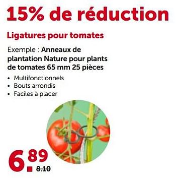 Promotions Anneaux de plantation nature pour plants de tomates - Produit maison - Aveve - Valide de 24/04/2023 à 07/05/2023 chez Aveve