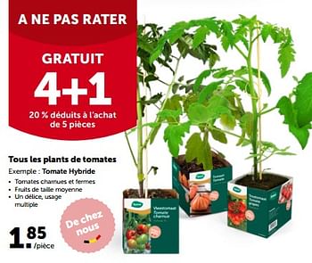 Promotions Tous les plants de tomates - Produit maison - Aveve - Valide de 24/04/2023 à 07/05/2023 chez Aveve