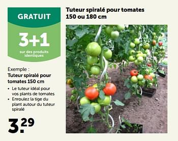 Promotions Tuteur spiralé pour tomates - Produit maison - Aveve - Valide de 24/04/2023 à 07/05/2023 chez Aveve