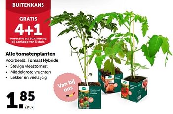 Promoties Alle tomatenplanten - Huismerk - Aveve - Geldig van 26/04/2023 tot 07/05/2023 bij Aveve