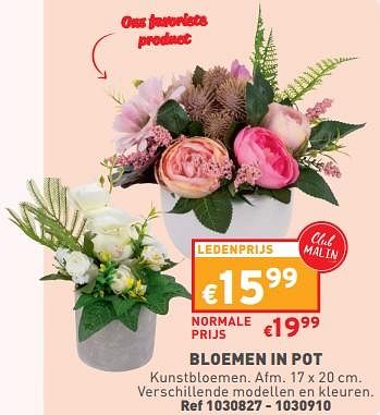 Promoties Bloemen in pot - Huismerk - Trafic  - Geldig van 03/05/2023 tot 08/05/2023 bij Trafic
