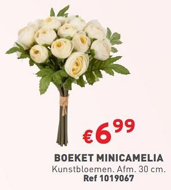 Promoties Boeket minicamelia - Huismerk - Trafic  - Geldig van 03/05/2023 tot 08/05/2023 bij Trafic