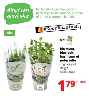 Promoties Bio munt bieslook basilicum of peterselie in grote pot - Huismerk - Spar Retail - Geldig van 04/05/2023 tot 17/05/2023 bij Spar (Colruytgroup)