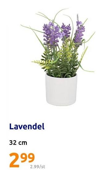 Promoties Lavendel - Huismerk - Action - Geldig van 03/05/2023 tot 09/05/2023 bij Action