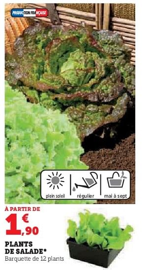 Promoties Plants de salade - Huismerk - Super U - Geldig van 03/05/2023 tot 14/05/2023 bij Super U