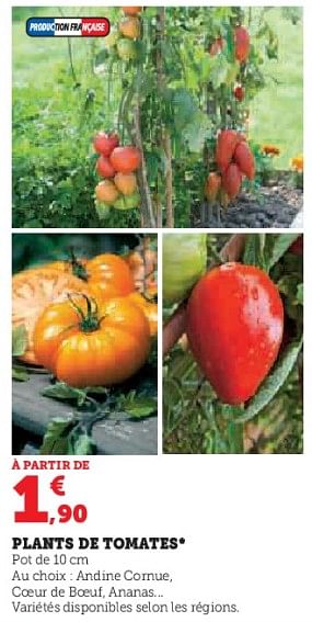 Promotions Plants de tomates - Produit Maison - Super U - Valide de 03/05/2023 à 14/05/2023 chez Super U