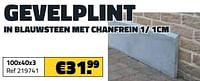 Gevelplint in blauwsteen met chanfrein 100x40x3-Huismerk - Bouwcenter Frans Vlaeminck