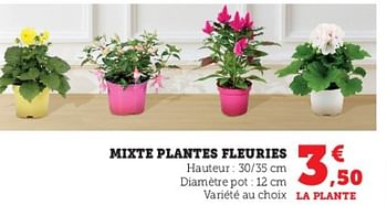 Promotions Mixte plantes fleuries - Produit Maison - Super U - Valide de 03/05/2023 à 14/05/2023 chez Super U