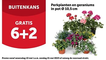 Promoties Perkplanten en geraniums in pot gratis 6+2 - Huismerk - Aveve - Geldig van 10/05/2023 tot 20/05/2023 bij Aveve