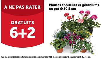 Promoties Plantes annuelles et géraniums en pot gratuits 6+2 - Huismerk - Aveve - Geldig van 10/05/2023 tot 20/05/2023 bij Aveve
