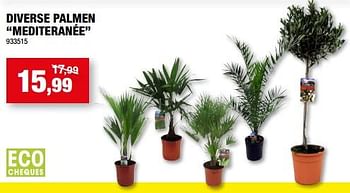 Promoties Diverse palmen mediteranée - Huismerk - Hubo  - Geldig van 10/05/2023 tot 21/05/2023 bij Hubo