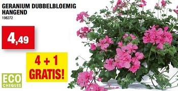 Promoties Geranium dubbelbloemig hangend - Huismerk - Hubo  - Geldig van 10/05/2023 tot 21/05/2023 bij Hubo