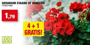 Promoties Geranium staand of hangend - Huismerk - Hubo  - Geldig van 10/05/2023 tot 21/05/2023 bij Hubo