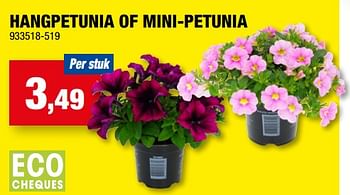 Promoties Hangpetunia of mini-petunia - Huismerk - Hubo  - Geldig van 10/05/2023 tot 21/05/2023 bij Hubo