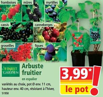 Promotions Arbuste fruitier en espalier - Finest Garden - Valide de 17/05/2023 à 23/05/2023 chez Norma