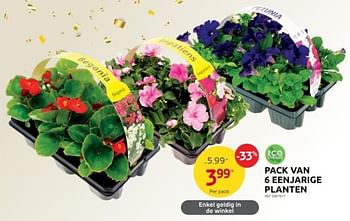 Promoties Pack van 6 eenjarige planten - Huismerk - Brico - Geldig van 17/05/2023 tot 29/05/2023 bij Brico