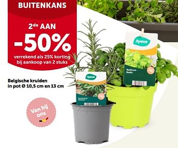 Promoties Belgische kruiden in pot 2de aan -50% - Huismerk - Aveve - Geldig van 22/05/2023 tot 04/06/2023 bij Aveve
