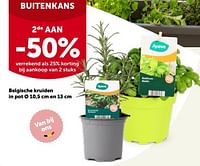 Belgische kruiden in pot 2de aan -50%-Huismerk - Aveve
