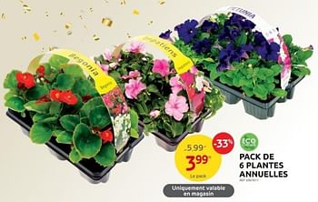 Promoties Pack de 6 plantes annuelles - Huismerk - Brico - Geldig van 17/05/2023 tot 29/05/2023 bij Brico