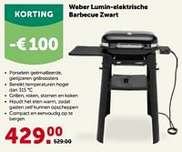 Weber lumin-elektrische barbecue zwart-Weber