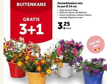 Promoties Zomerbloeiers mix in pot - Huismerk - Aveve - Geldig van 22/05/2023 tot 04/06/2023 bij Aveve