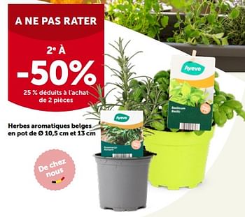 Promotions Herbes aromatiques belges en pot 2e à -50% - Produit maison - Aveve - Valide de 24/05/2023 à 28/05/2023 chez Aveve