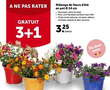 Promotions Mélange de fleurs d’été en pot - Produit maison - Aveve - Valide de 24/05/2023 à 28/05/2023 chez Aveve