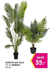 Kunstplant palm-Huismerk - Xenos
