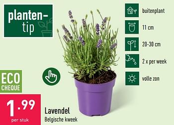 Promoties Lavendel - Huismerk - Aldi - Geldig van 03/06/2023 tot 09/06/2023 bij Aldi