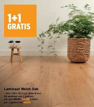 Promoties Laminaat welsh oak - Huismerk - Gamma - Geldig van 24/05/2023 tot 06/06/2023 bij Gamma