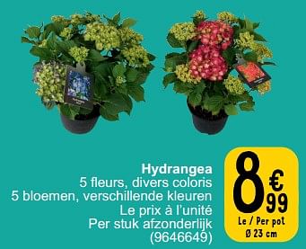 Promotions Hydrangea - Produit maison - Cora - Valide de 30/05/2023 à 12/06/2023 chez Cora