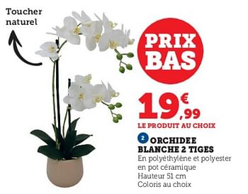 Promotions Orchidee blanche 2 tiges - Produit Maison - Super U - Valide de 23/05/2023 à 04/06/2023 chez Super U