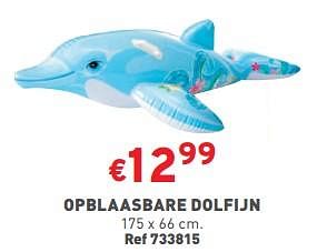 Promoties Opblaasbare dolfijn - Huismerk - Trafic  - Geldig van 31/05/2023 tot 05/06/2023 bij Trafic