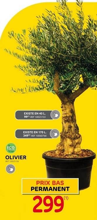Promotions Olivier - Produit maison - Brico - Valide de 31/05/2023 à 12/06/2023 chez Brico
