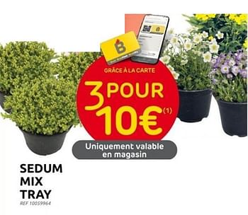 Promoties Sedum mix tray - Huismerk - Brico - Geldig van 31/05/2023 tot 12/06/2023 bij Brico