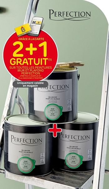 Promoties 2+1 gratuit sur toutes les peintures mur et plafond perfection - Perfection - Geldig van 31/05/2023 tot 12/06/2023 bij Brico