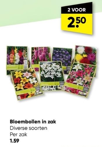 Promoties Bloembollen in zak - Huismerk - Big Bazar - Geldig van 05/06/2023 tot 18/06/2023 bij Big Bazar